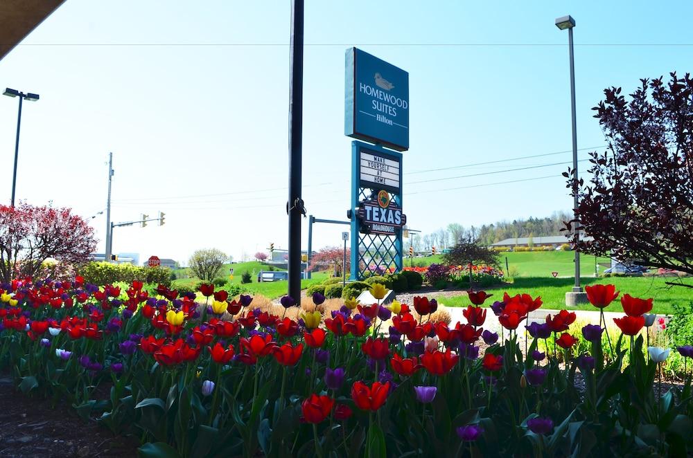 Homewood Suites By Hilton Reading-Wyomissing Eksteriør billede